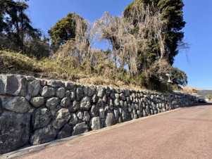 Ｎ-34【前面道路含む現地写真】東側道路