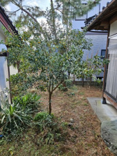 鳥取市面影２丁目中古戸建て【庭】