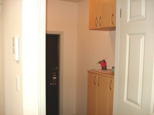 スターテラスA【玄関】玄関