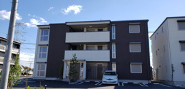 カデンツアの画像