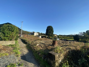 加茂郡川辺町西栃井の売地【外観】