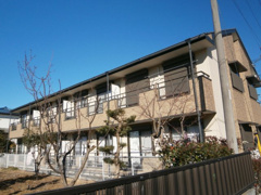 MS,フリージアの画像