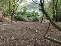 牡鹿郡女川町鷲神浜字堀切山の売地の画像