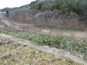 桜台2丁目土地【展望】