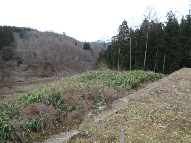 桜台2丁目土地【展望】