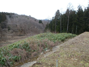 桜台2丁目土地【展望】
