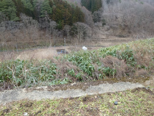 桜台2丁目土地【展望】