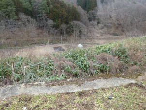 桜台2丁目土地【展望】