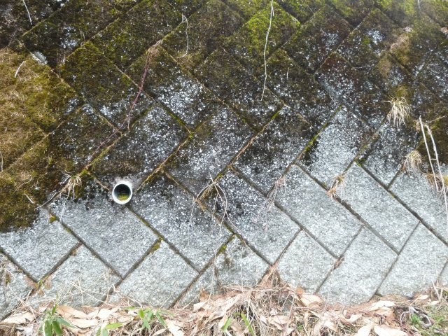 桜台2丁目土地【前面道路含む現地写真】
