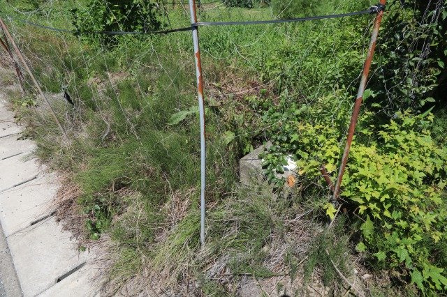 百槻篠竹土地【外観】