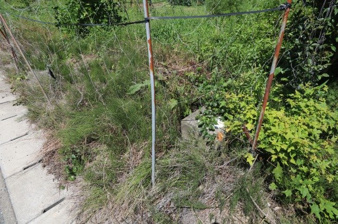 百槻篠竹土地【外観】