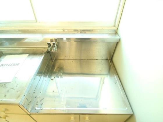 コンロ設置場所