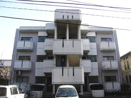 ローレル並木の画像