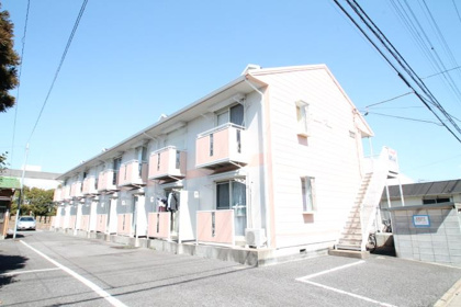 マキライズの画像