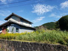 八頭郡智頭町大字山根倉庫の画像