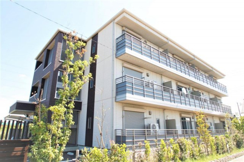 ロコ・ソラーレの画像