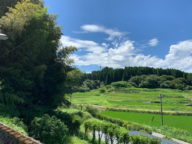 南関町関外目1763【その他】7月頃周辺状況です。