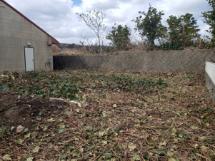 鳥取市気高町日光土地【外観】