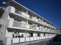 ☆賃貸物件紹介☆～ロイヤルシングル～の画像