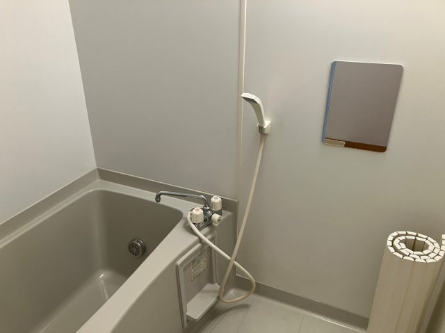 パナハイツクオーレ【浴室】