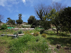 湯河原町鍛冶屋・土地（南ひな壇）の画像