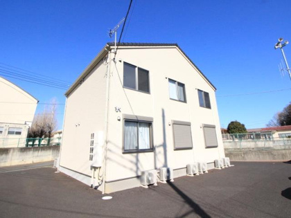 ルアナ石岡の画像