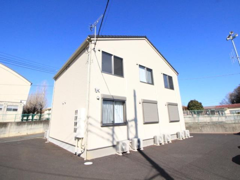 ルアナ石岡の画像