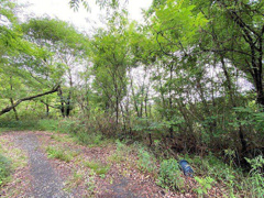 可児市大森  土地の画像