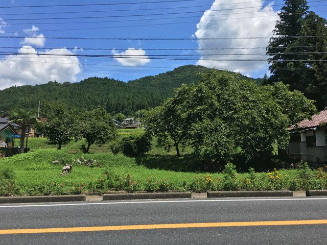 中津川市山口の売地【外観】現況写真