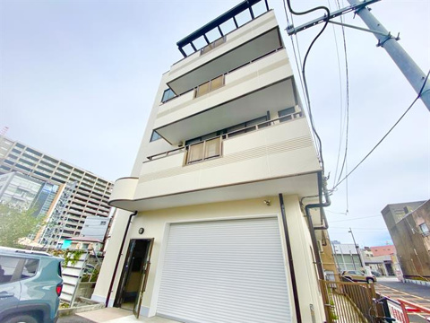 アルブルトキワの画像