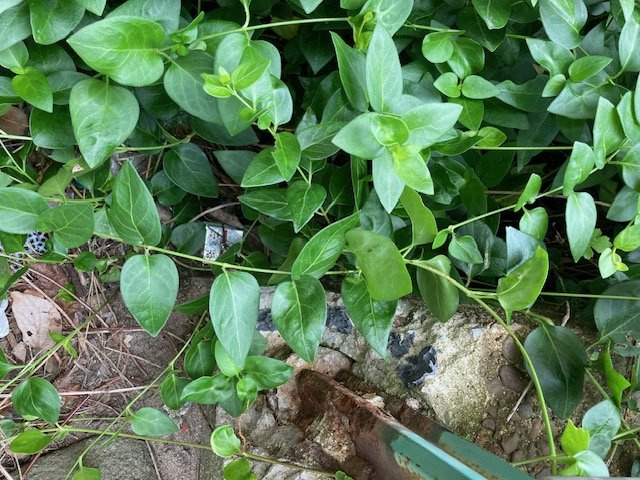 土崎港北二丁目土地【その他】