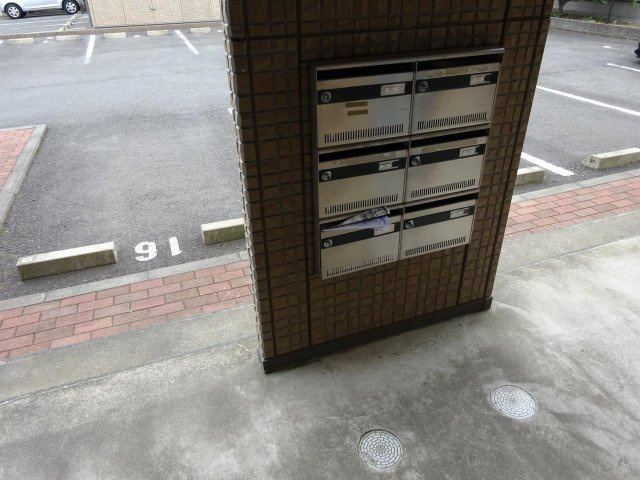連携あり任意