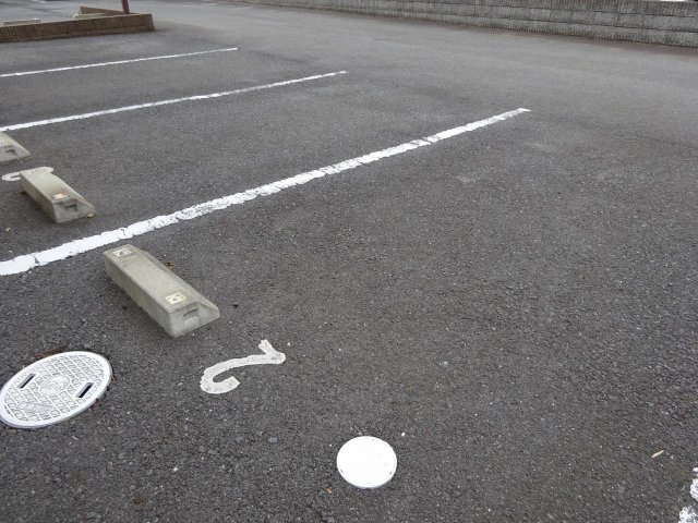 連携あり任意