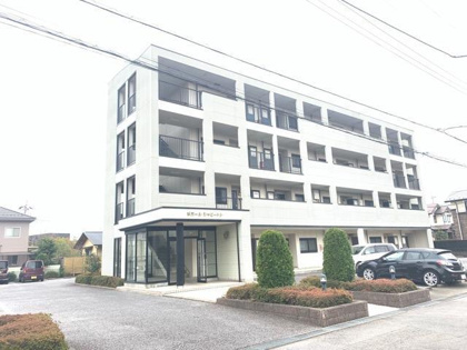 レイワ松代の画像