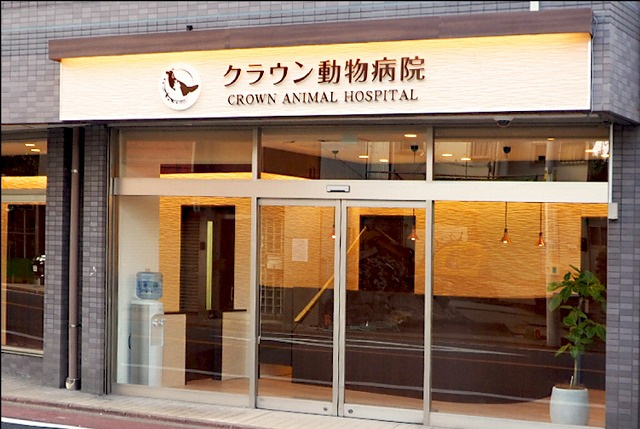 コレントハウス馬込【洋室】個室１０１号室：ベッド、マットレス、エアコン、カーテンを完備。
