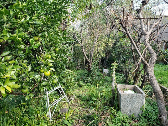 鳥取市吉方町1丁目 土地【外観】