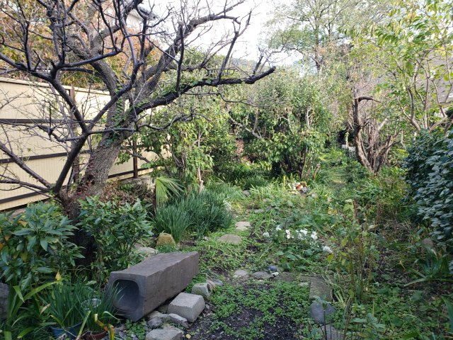 鳥取市吉方町1丁目 土地【外観】