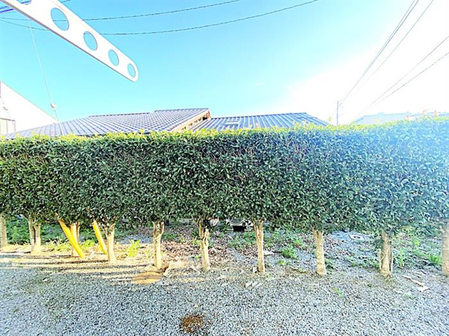 同建物の別の部屋の写真となります。
