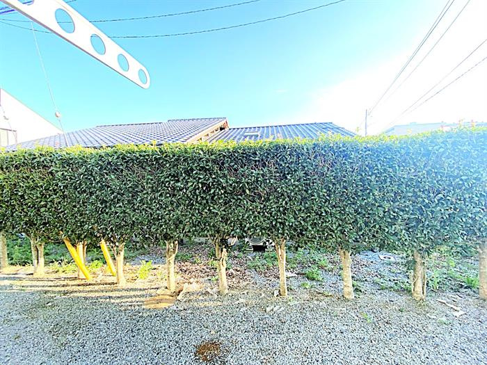同建物の別の部屋の写真となります。