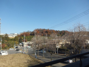 富田林市藤沢台７丁目の中古一戸建【展望】