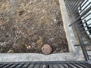 中野字寺前土地【周辺】