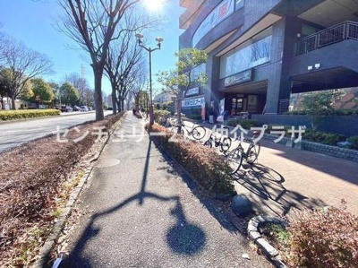 街路樹が美しく並ぶ開放的な通り沿いの物件です。自転車でのアクセスも良好で日々の移動が便利になります。建物の外観はモダンで洗練されており周囲の環境とも調和しています。