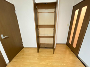 ティエドゥールⅡ【収納】収納