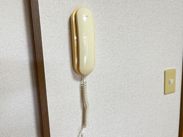 ティエドゥールⅡ【内装】インターホン