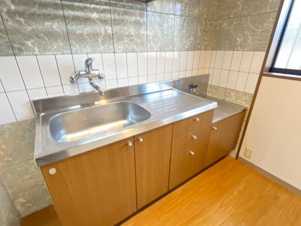 ティエドゥールⅡ【キッチン】キッチン