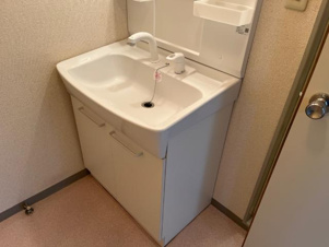 クィーンズコートＢ棟【洗面所】洗髪洗面化粧台