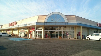 加須市南篠崎のアパート【周辺】カスミ花崎店まで650m