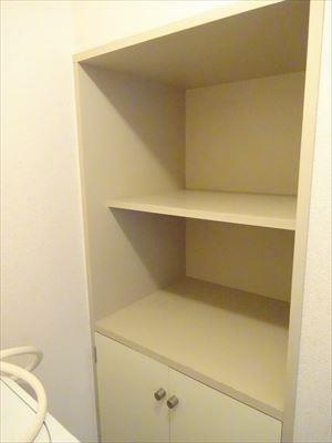 洗剤やタオルなど収納