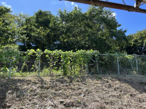 ＡＬＥＧＲＩＡ(アレグリア)三の丸【展望】