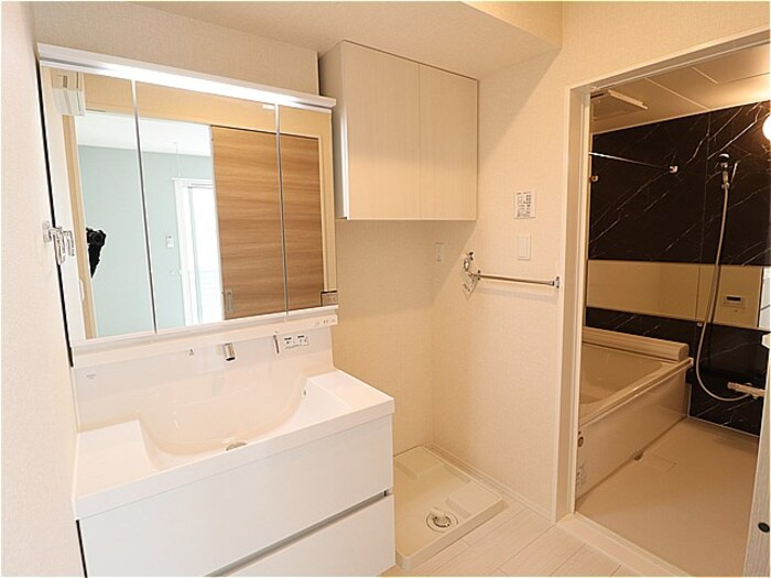 Ｄ－ｒｏｏｍ御茶園【独立洗面台】洗髪洗面化粧台